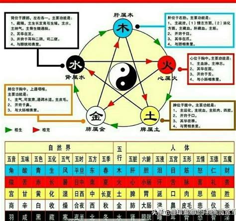 金木水火土 生日|金木水火土命查询表